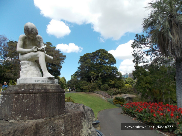 photo 499532