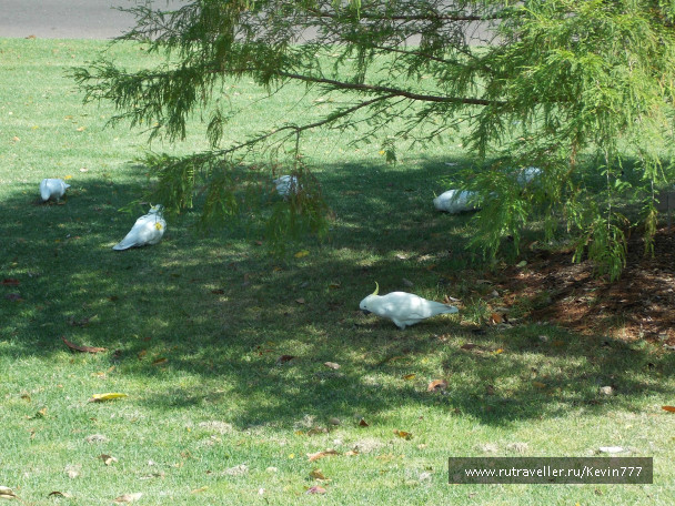 photo 499536
