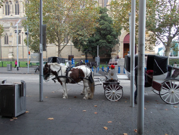 photo 499925