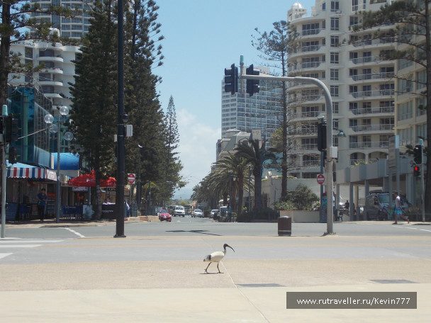 photo 488012