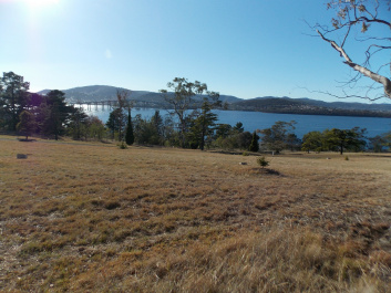 photo 489265