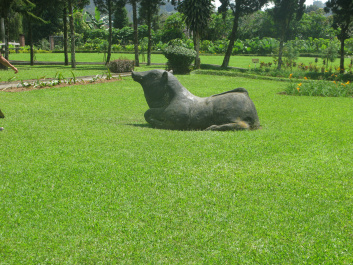 photo 492183