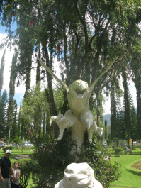 photo 492184