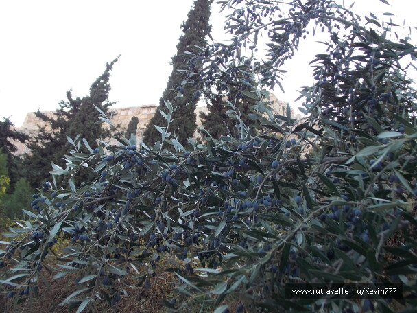 photo 599172