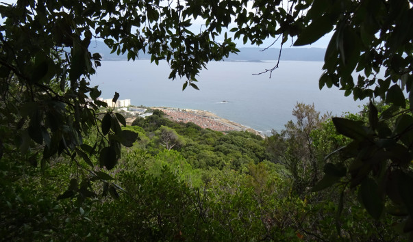 DSC02356