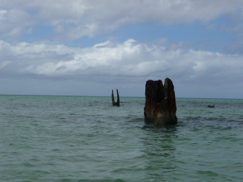 photo 207391