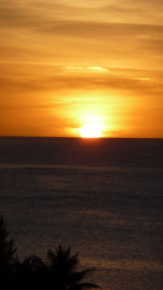 photo 207826