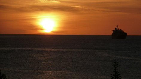 photo 207827