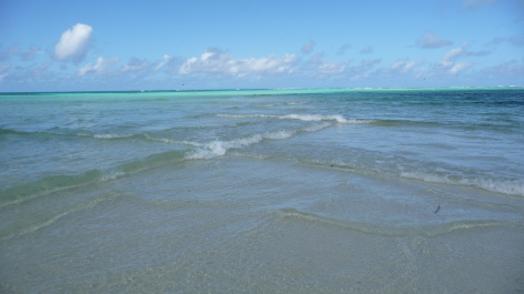 photo 214317