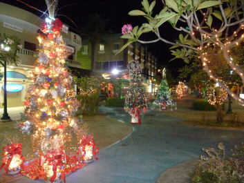 photo 224028