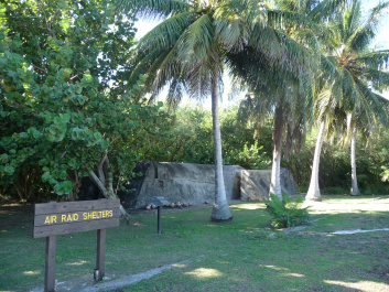 photo 217485