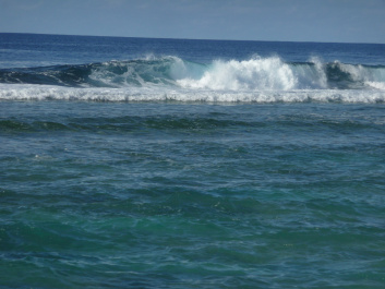 photo 243831