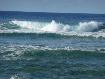 photo 243832