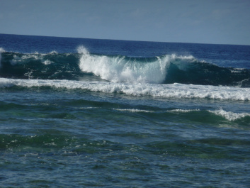 photo 243833