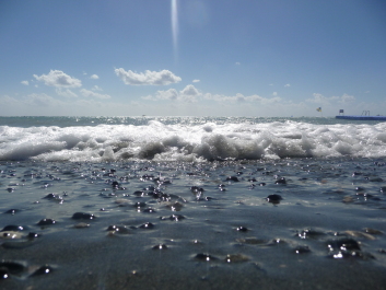 photo 596940