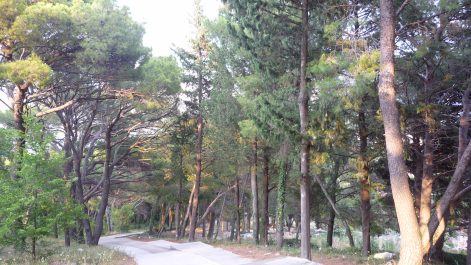 photo 1088054