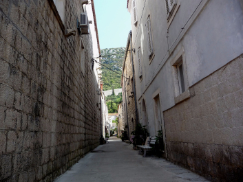 photo 1088382