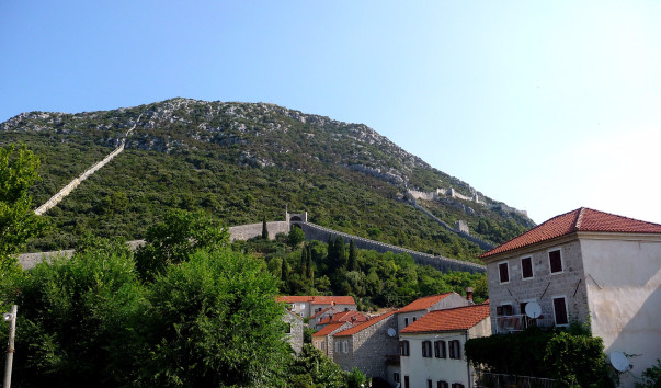 P1220521