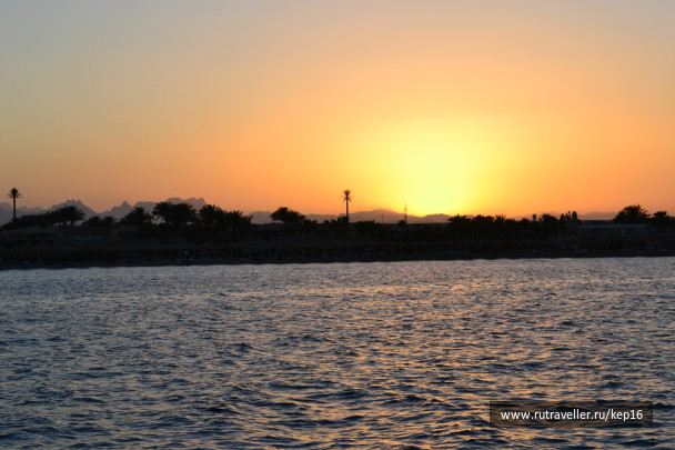photo 490062