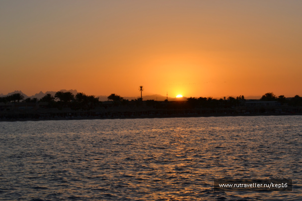 photo 490064