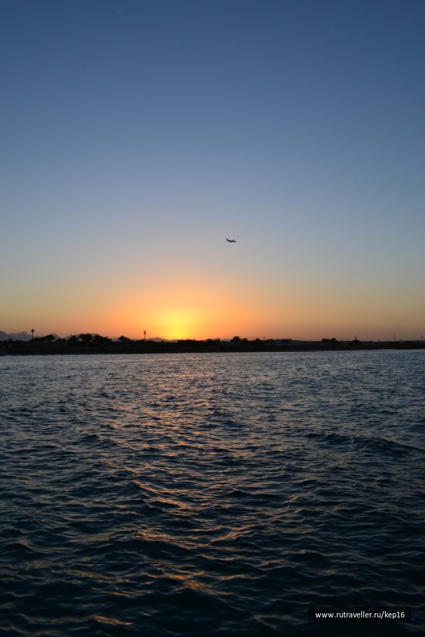 photo 490059