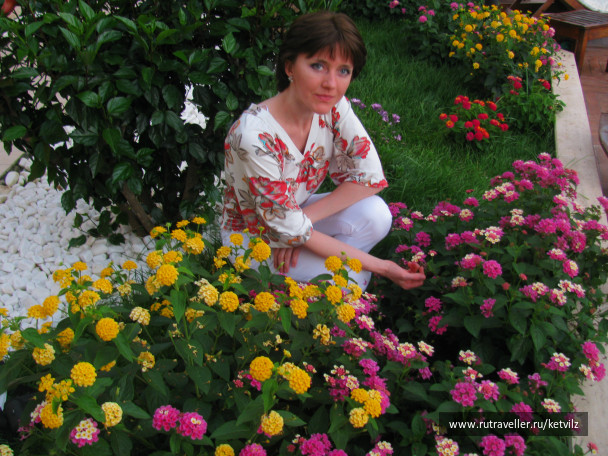 photo 147074
