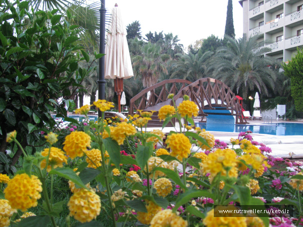 photo 147515