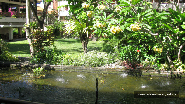 photo 147576