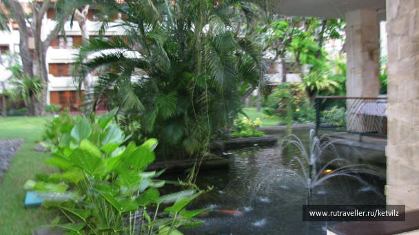 photo 147580