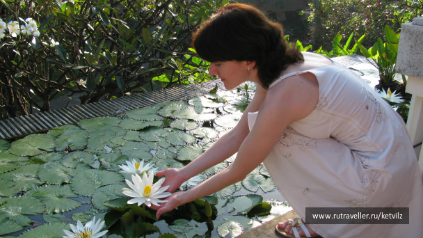 photo 147611