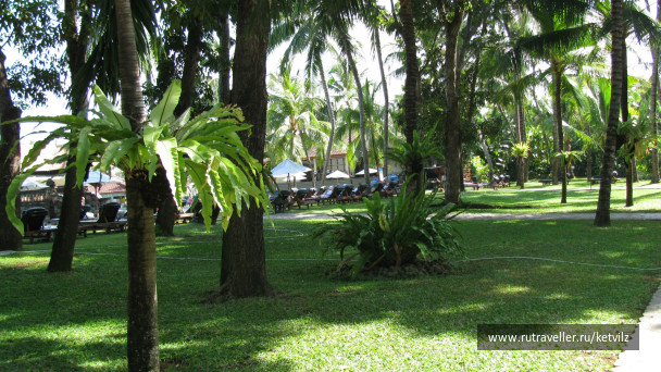photo 147673