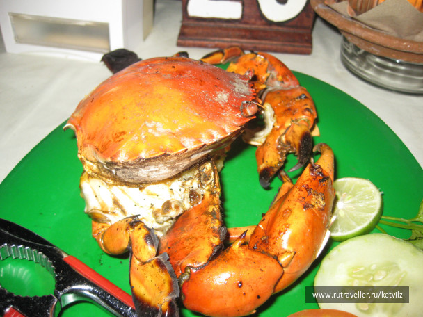 photo 147817