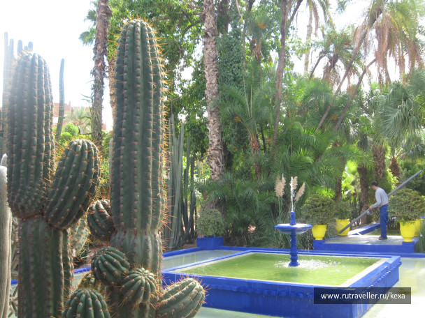 photo 174945