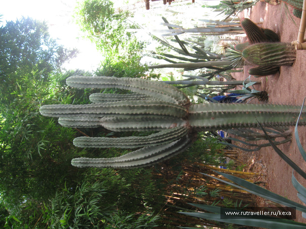 photo 174946