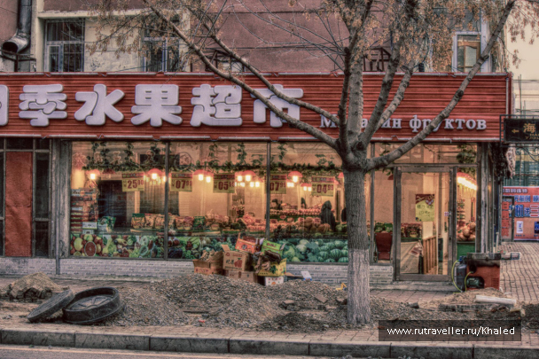 photo 259339