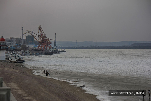 photo 259344