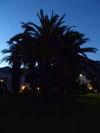 photo 420213