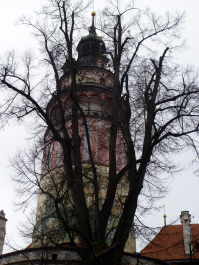 photo 678794