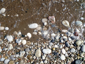 photo 1070818