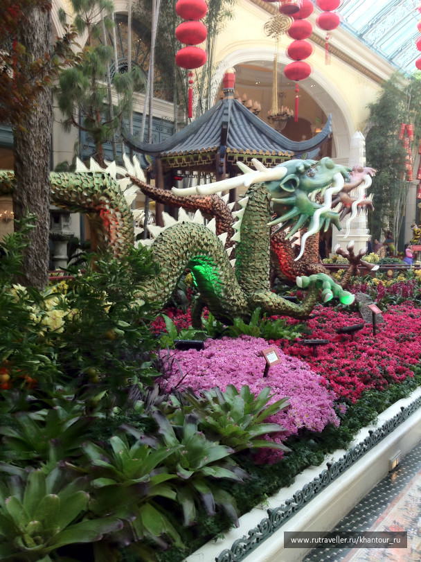 photo 94761