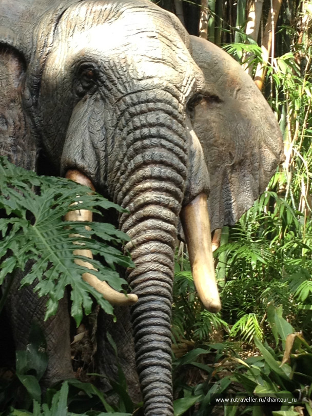 photo 94769