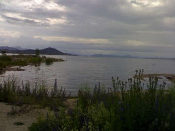 photo 457557