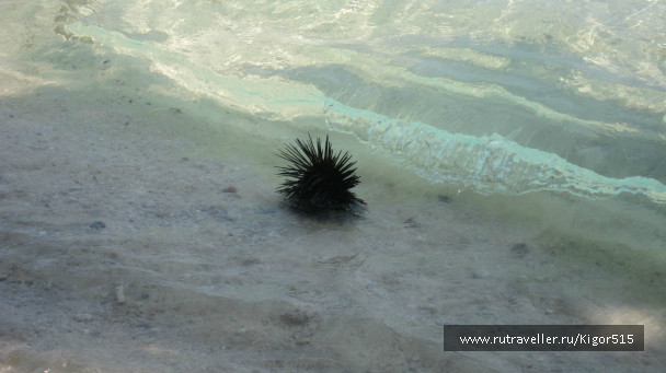 photo 457034