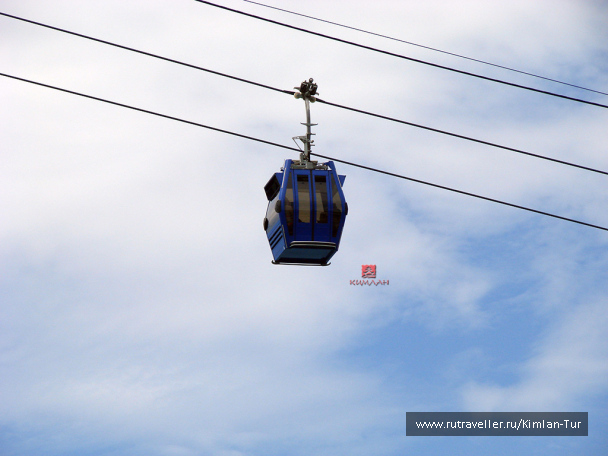 photo 208231