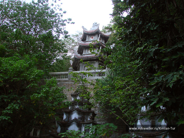 photo 208267