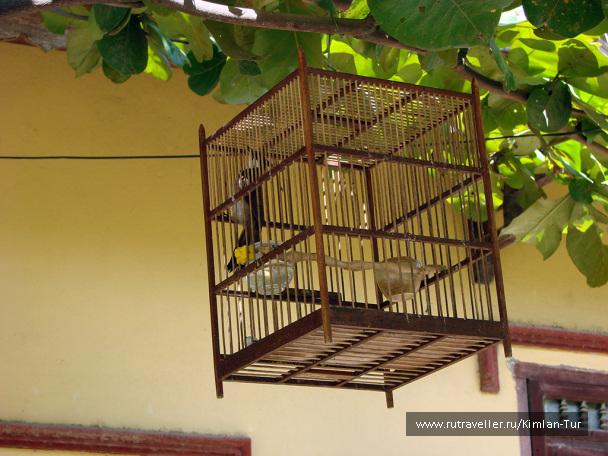 photo 208360