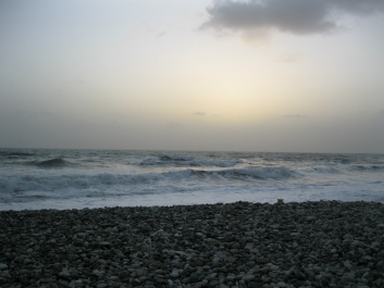 photo 221559