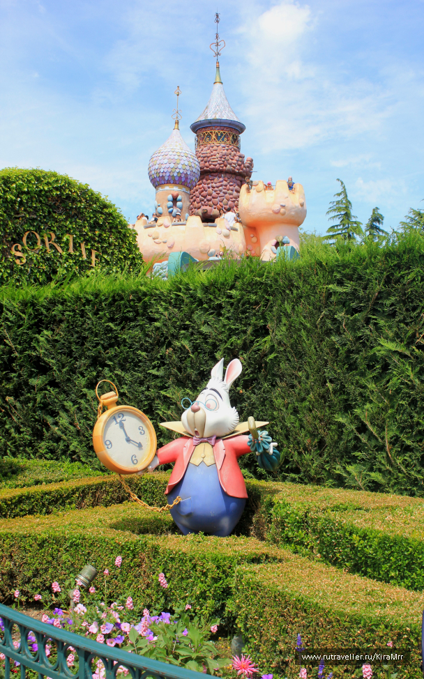 photo 1344217