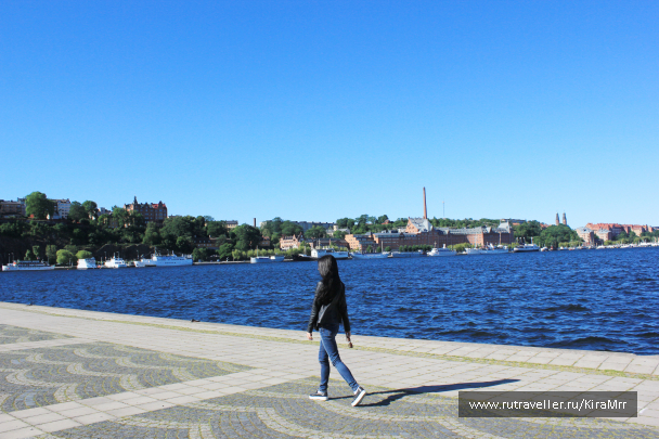 photo 1340344