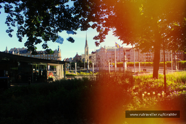 photo 1340355